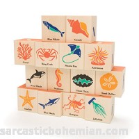 Uncle Goose Ocean Blocks Made in The USA B07B417SMR